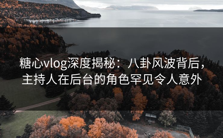 糖心vlog深度揭秘：八卦风波背后，主持人在后台的角色罕见令人意外  第1张