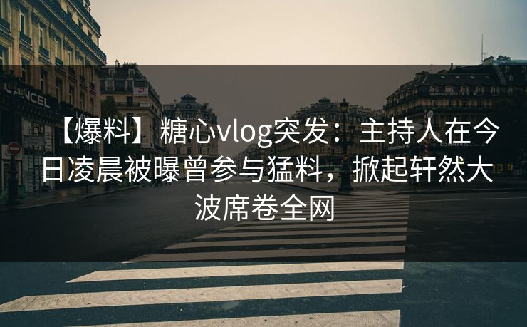 【爆料】糖心vlog突发：主持人在今日凌晨被曝曾参与猛料，掀起轩然大波席卷全网  第1张
