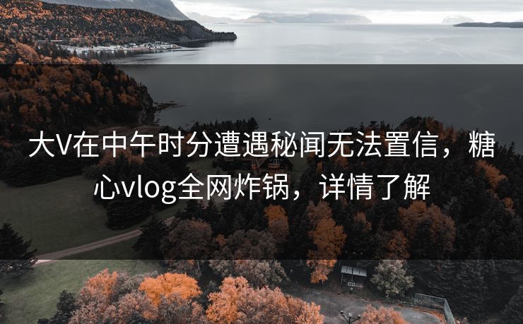 大V在中午时分遭遇秘闻无法置信，糖心vlog全网炸锅，详情了解  第1张