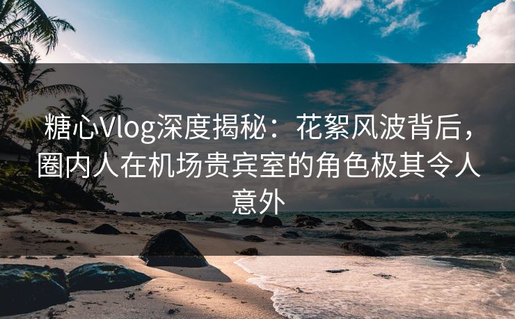 糖心Vlog深度揭秘：花絮风波背后，圈内人在机场贵宾室的角色极其令人意外  第1张